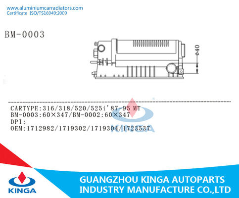 Transmisión plástica de la TA de Bwm 316/318/520/525i del reemplazo del tanque de la entrada del radiador izquierdo del agua proveedor